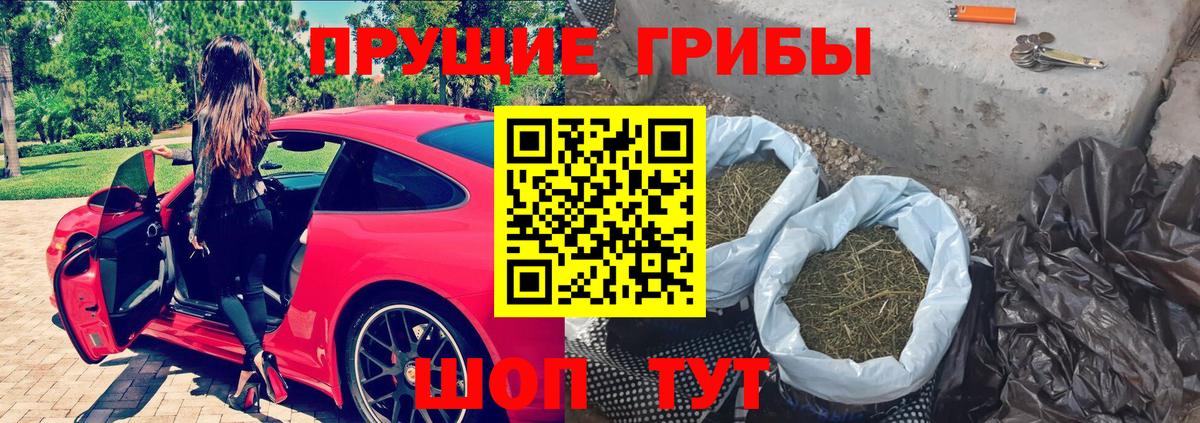 наркота  Галлюциногенные грибы прущие грибы  Вход с VPN  Кашира  Галлюциногенные грибы прущие грибы 